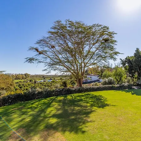 For Rent In Marbella Holiday home